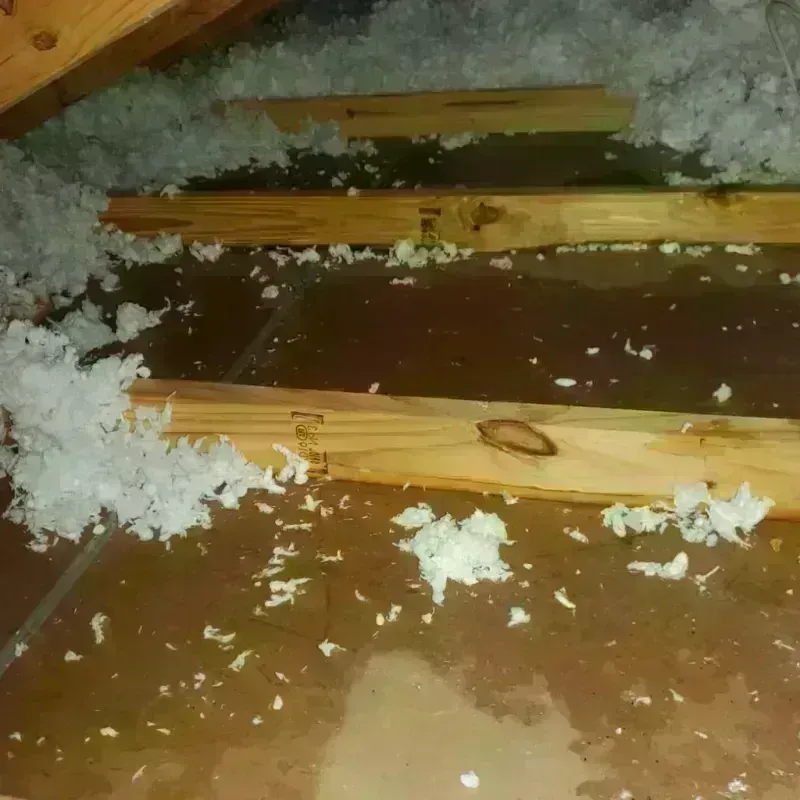 Attic Water Damage in Liborio Negron Torres, PR